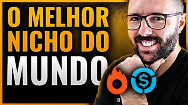 MELHOR NICHO PARA GANHAR DINHEIRO | TO PERDIDO NO MEU NICHO, NÃO TENHO IDEIA DO QUE FAZER